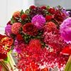 president. Danny's Flower